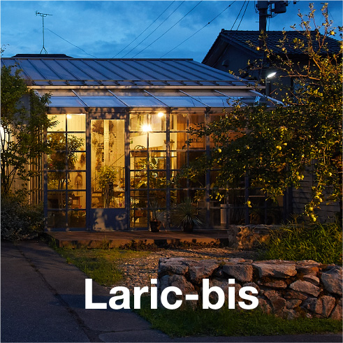 Laric-bis